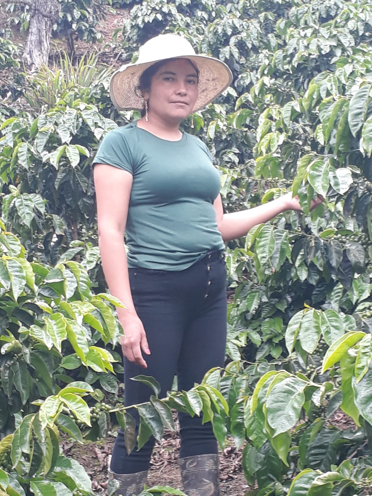 La Choza - Colombia – Salto Coffee