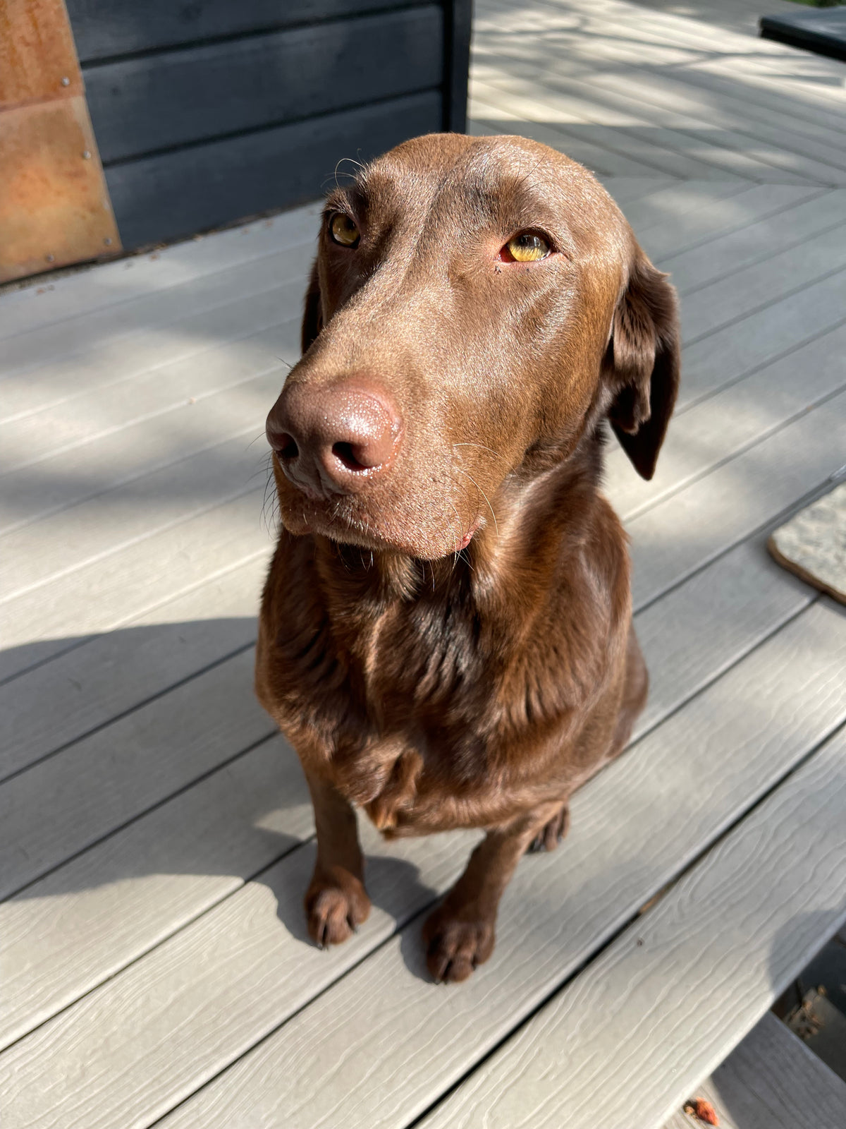 Gypsy is now Sherwood Blend